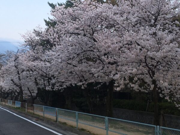 3月最終日サムネイル